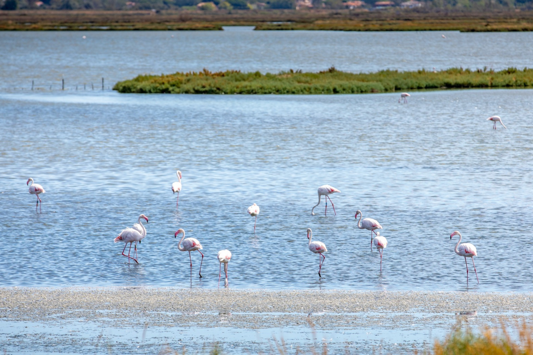 Comacchio & il delta del Po